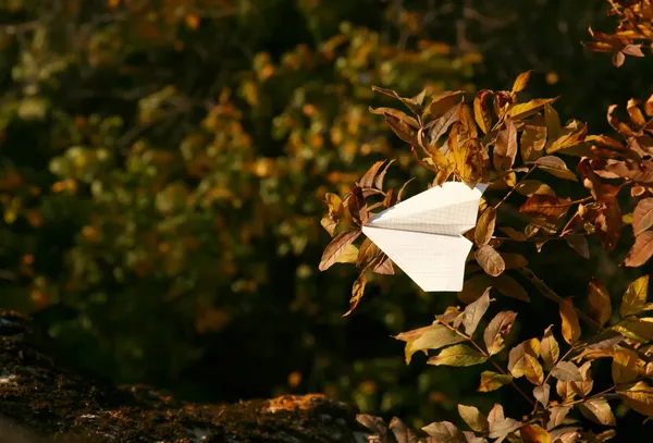 stock image Paper plane in branches