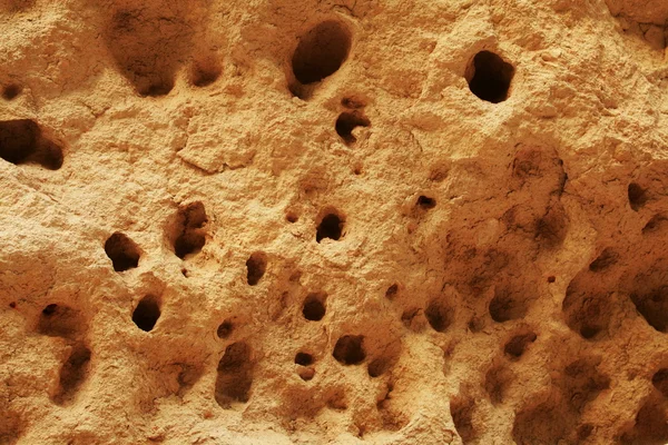 Holes in sandstone — Stock Photo, Image