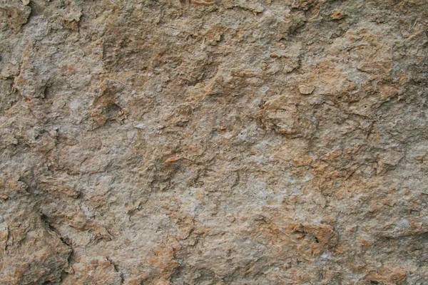 Rock surface — Stock Photo, Image