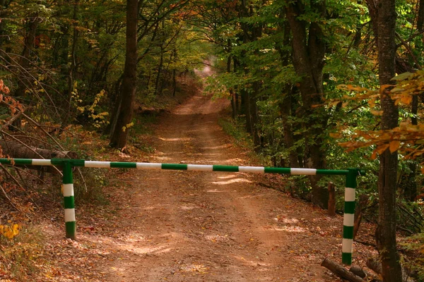 sonbahar orman de yol bariyeri