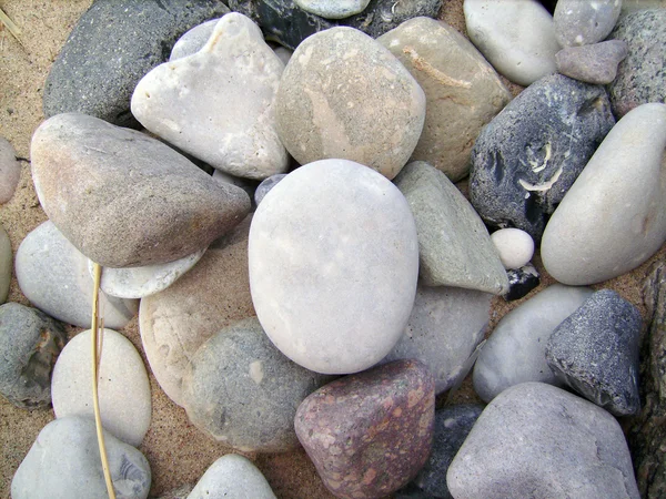 stock image Lot of different sea stones.