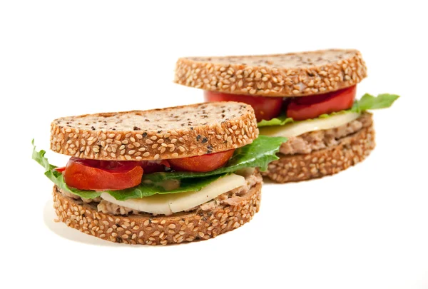 Сэндвичи с сыром тунца — стоковое фото