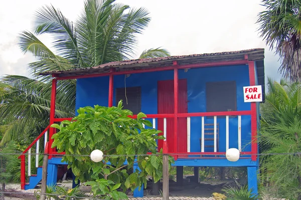 stock image Caribbean style shack for sale