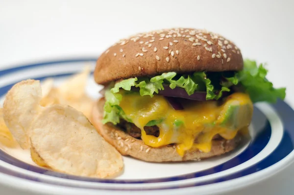 Вегетарианский бургер с чипсами — стоковое фото