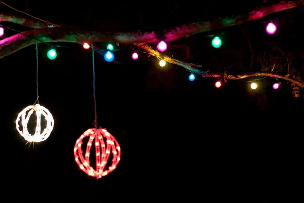 Holiday lights under a tree branch Royalty Free Stock Photos
