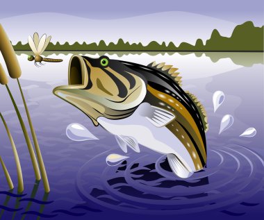 Fishpond clipart