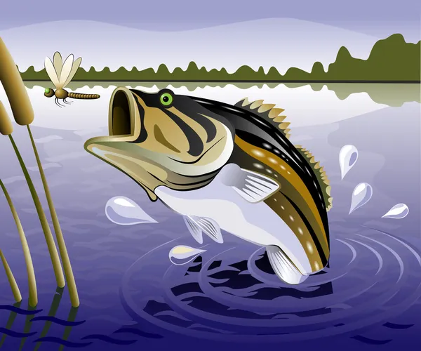 Peixe-pescado — Vetor de Stock