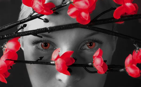 Девушка смотрит через красные кусты — стоковое фото