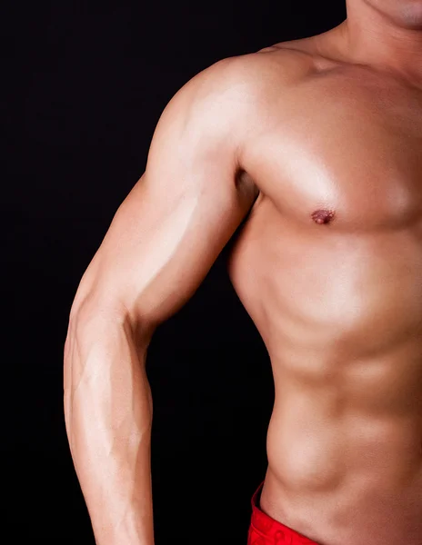 肌肉发达的男性躯干模型的一部分 — 图库照片