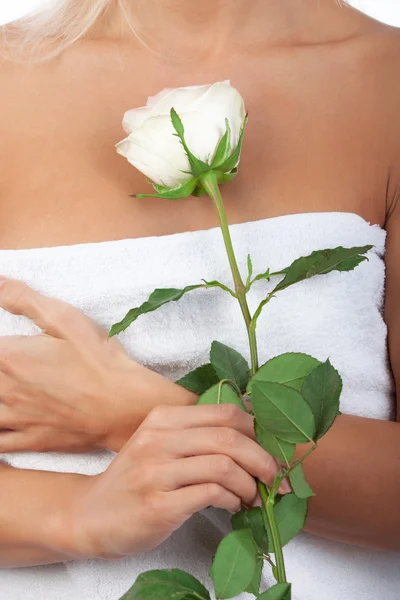 Λευκό τριαντάφυλλο στα χέρια κορίτσια — Φωτογραφία Αρχείου