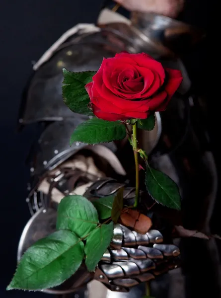 Ritter mit einer schönen Blume — Stockfoto