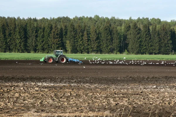 stock image Tractor at the field