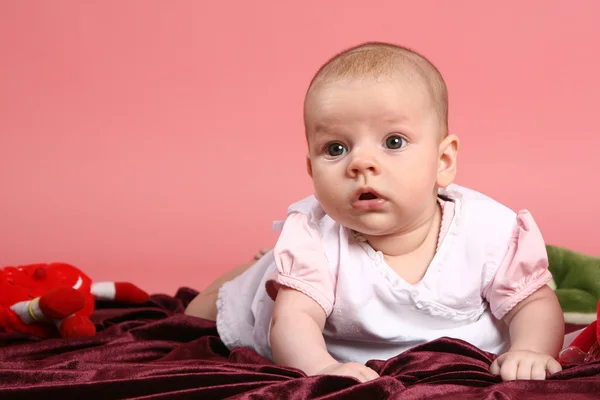 Portrait of young little baby girl — Stock Photo, Image
