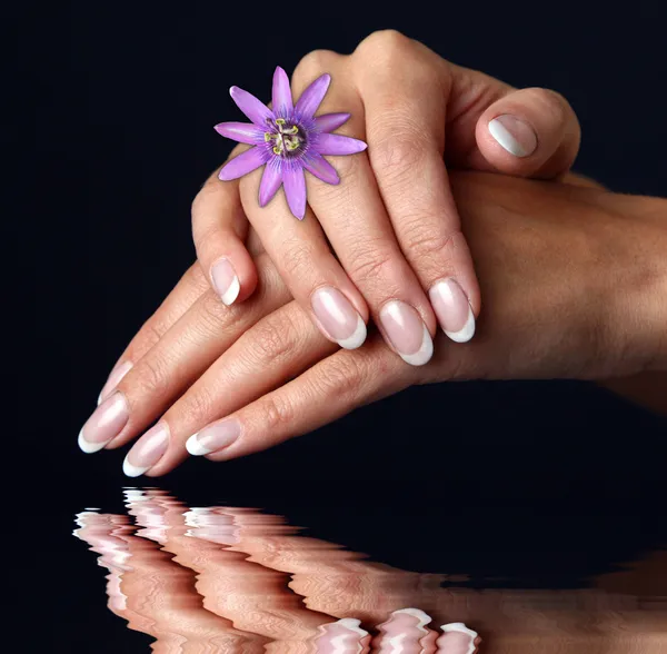 Tangan wanita dengan manikur Perancis — Stok Foto