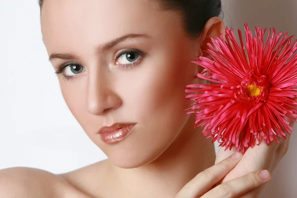 Charmante brunette met een bloem aster — Stockfoto