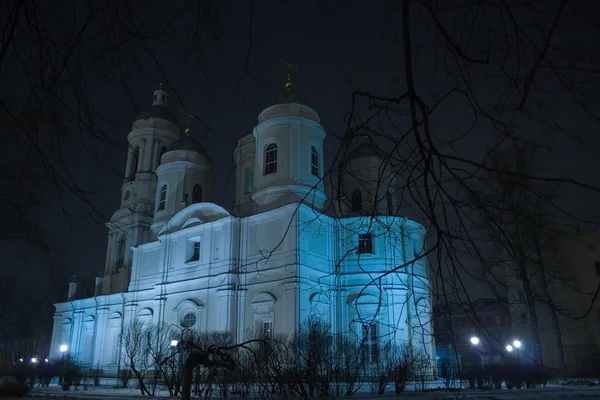 Prince Vladimir Cathedral — Stock Photo, Image