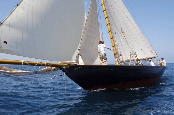 古典的なセーリング船 — ストック写真