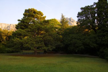 Peyzaj park