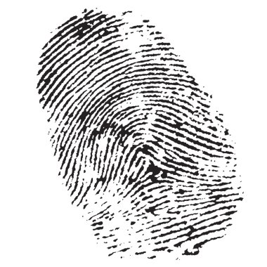 Fingerprint clipart