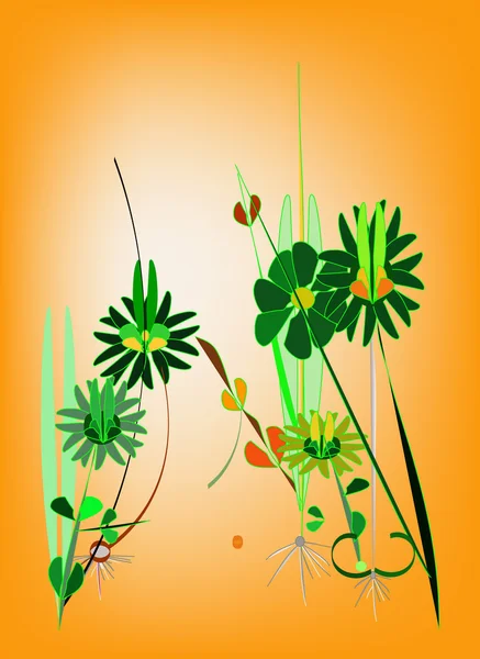 Florale Komposition — Stockfoto