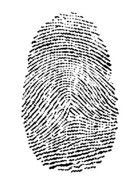 Fingerprint clipart