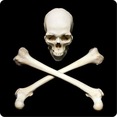 Jolly Roger clipart