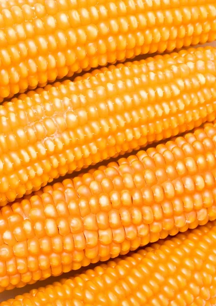 玉米背景 — 图库照片
