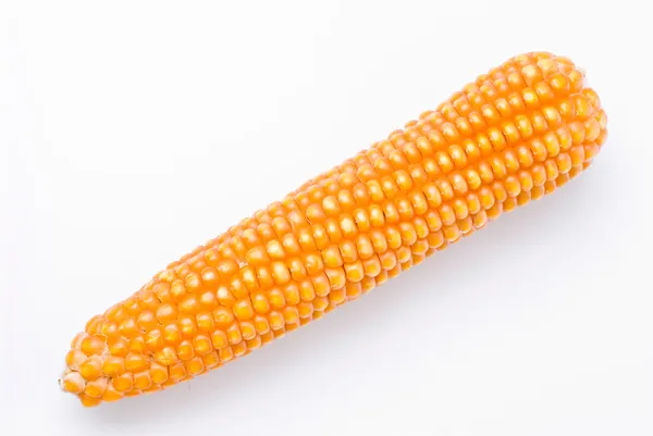 Ізольована кукурудзи хоб Ліцензійні Стокові Фото