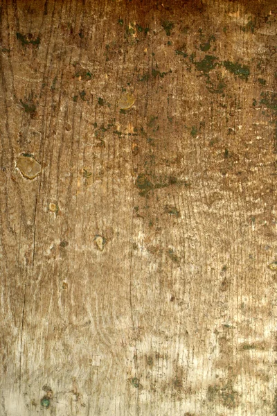 stock image Wood background