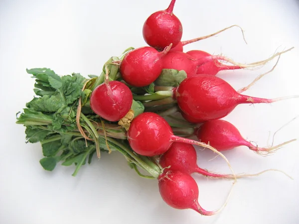 stock image Bunch of red radish