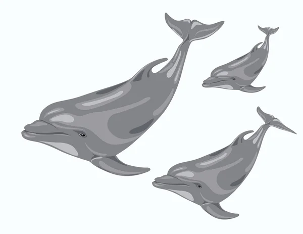 三个海豚 — 图库照片