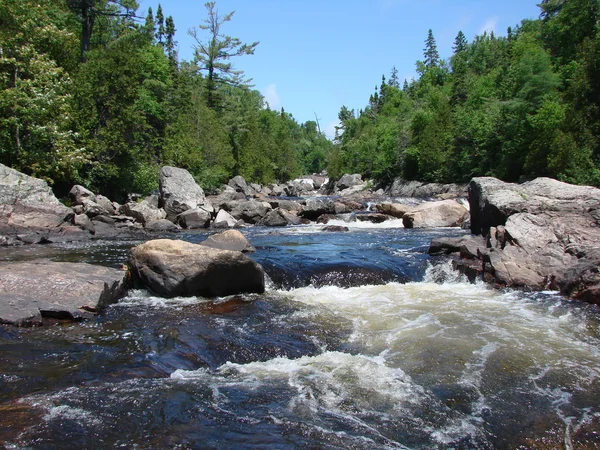 stock image Sand River Ontairo, Canada