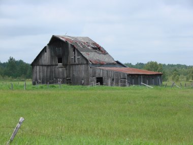 Old barn in green field clipart