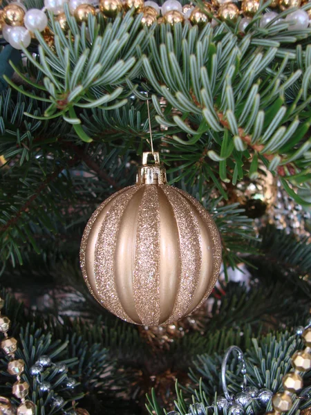 Gold Christmas ornament on tree — Stock Photo, Image