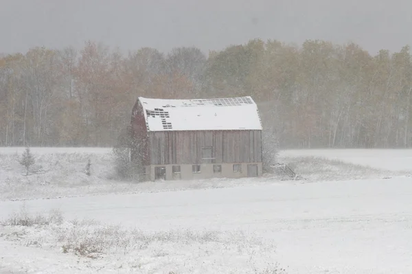 在暴风雪中的谷仓 — 图库照片