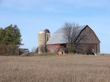 Red barn with silos clipart