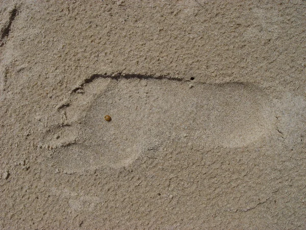 stock image Footprint in the sand