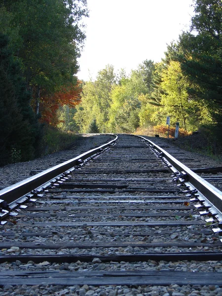 Dew on train tracks