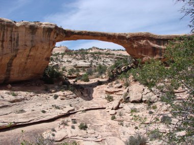 Natural Bridges National Park Utah, USA clipart