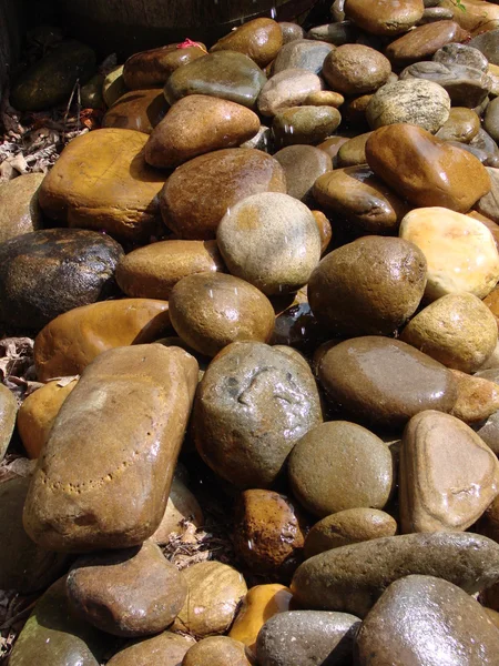 stock image Rain washed rocks