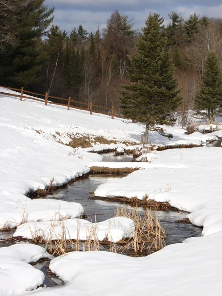 Kanyargó patak a hóban — Stock Fotó