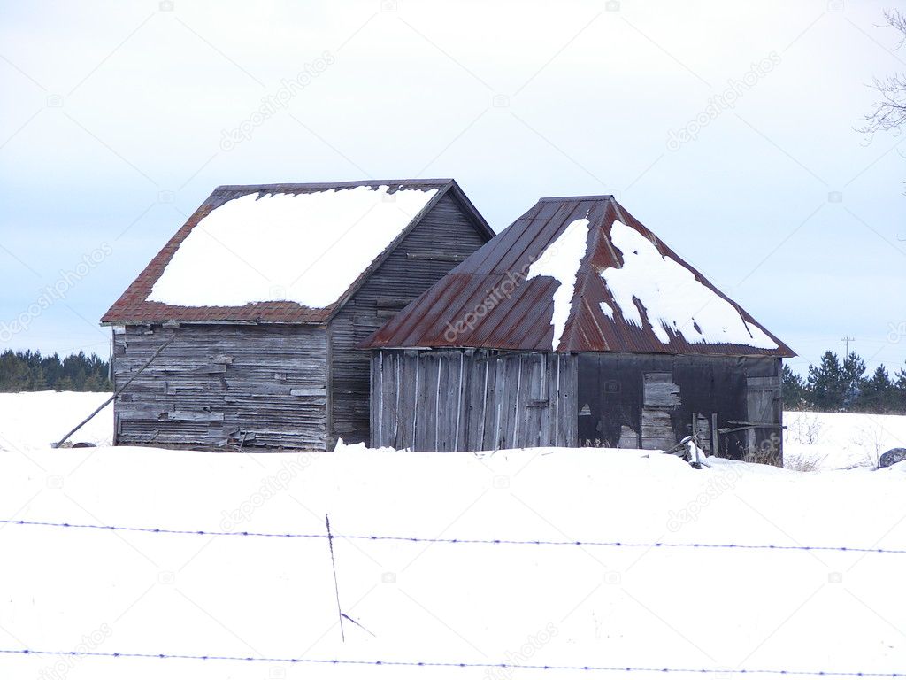 Old wood sheds with rusted tin roofs