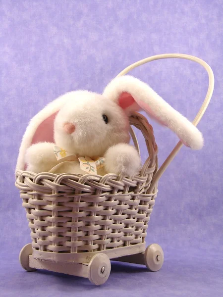 White bunny in pram Stock Photo