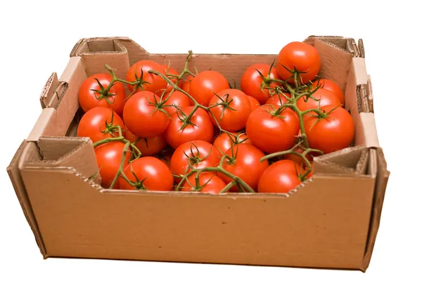 Tomaten im Karton Stockbild