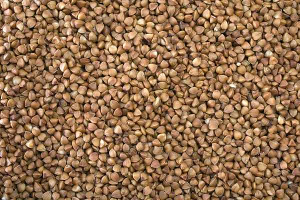 stock image Buckwheat