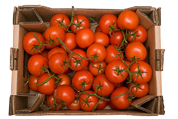 Tomatos in box — Stock Photo, Image