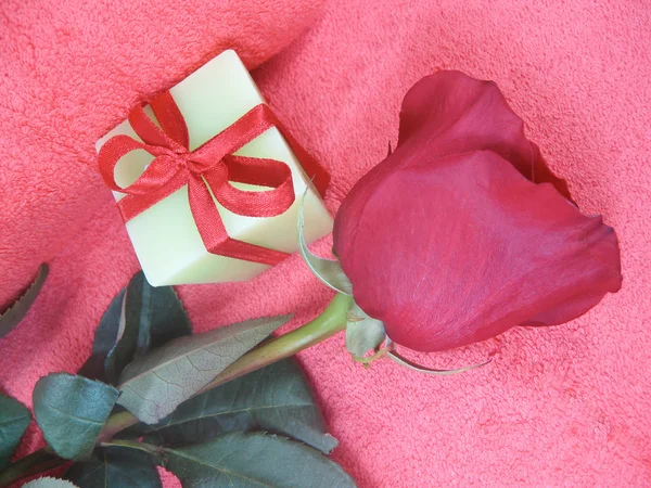 Róża na różowym tle ze świecą — Zdjęcie stockowe