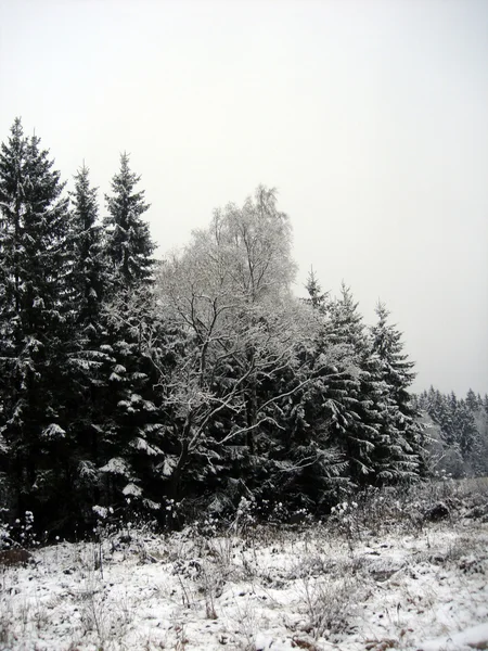 Vinterlandskap — Stockfoto