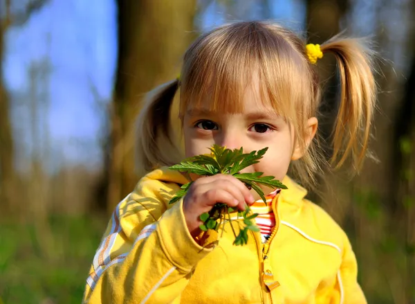 Little girl and wild flowers — Stock Photo, Image