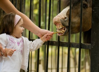 Little girl and pony clipart